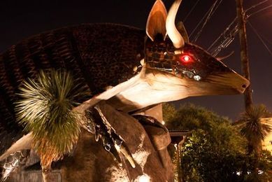 That Armadillo Has a Long and Strange Tale to Tell