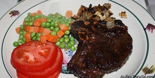 Tips & Suggestions for cooking bear meat