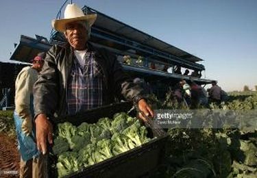 Want great pics for your non-profit? Getty Images are now free!