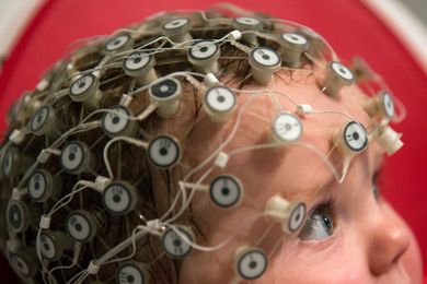 Algorithm Inspired By Process In Kids’ Brains Could Improve Wireless Networks