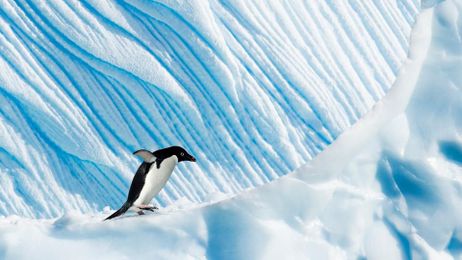 How to survive in the coldest place on Earth