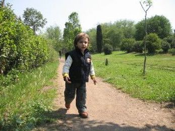 Seizures Gone, Behavior, and Cognitive Development Improved with Chiropractic |