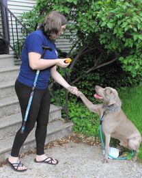 Service dog, track team help disabled vet