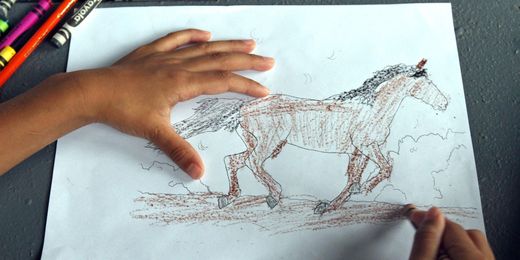 Sadie the horse helps children learn social skills