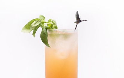 Cool Off With a Bird-Inspired Cocktail