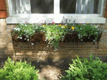 A Rustic Garden: Choose Metal Window Planter Boxes for Old-World Charm