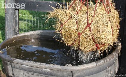 Should You Soak Your Horse's Hay?