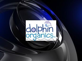 Avoid Hidden Chemicals With Vegan Dolphin Organics Products For Children