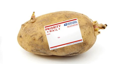 Can You Ship a Potato Without Packaging?