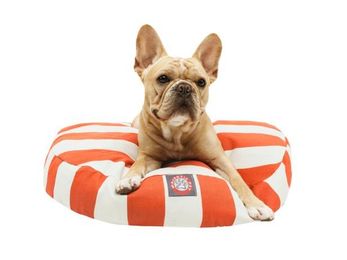 20 Plus Cute Pet Products