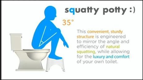 Proper potty posture could change your life	