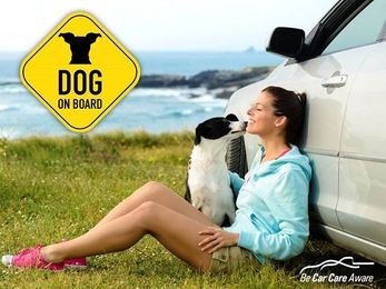 Is Your Car Pet Friendly?