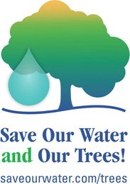Official Press Release: Save Our Water And Our Trees!