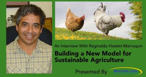 How Regenerative Agriculture Can Go Large-Scale