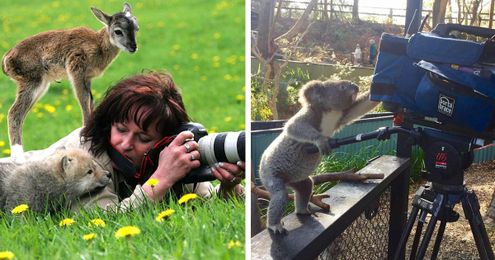 21+ Animals That Want To Be Photographers