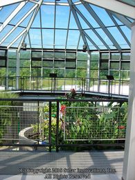 Utilizing a Greenhouse for an Animal Sanctuary