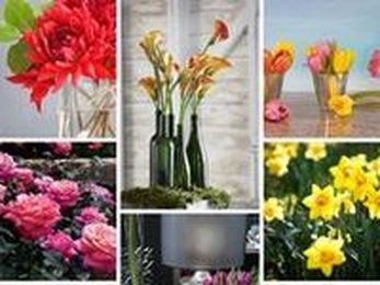 IDEAS: Easy Flower Arrangements