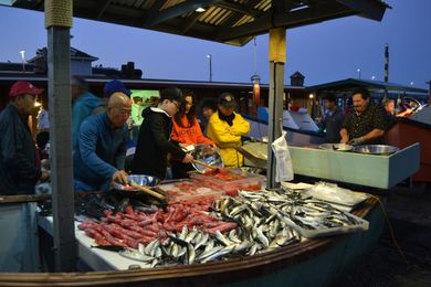 5 SoCal Fish Markets Where You Can Find Your Favorite Catch