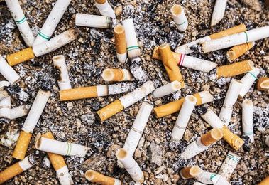 6 Shocking Truths About Cigarettes and the Environment