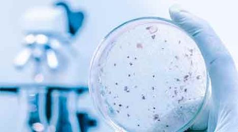 Clean Cooling Towers One Key to Reducing Legionella Outbreaks