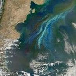 Phytoplankton Bloom Byproducts Make Cloud-Forming Water Droplets Brighter