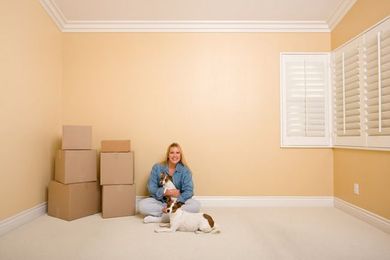 Moving With Dogs: 8 Tips to Keep In Mind