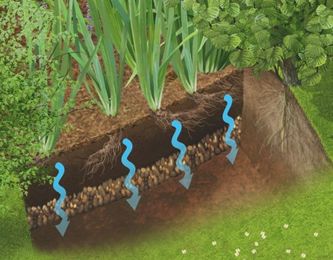 How to make a rain garden for wildlife