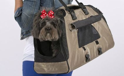Keep Your Dog Safe With These Crash-Tested & Ranked Pet Carriers