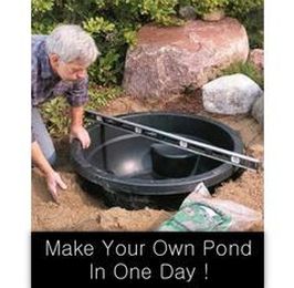 How to Make a Small Water Garden or Fish Pond