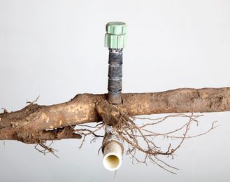 Using Tree Root Killer to Unclog Your Pipes