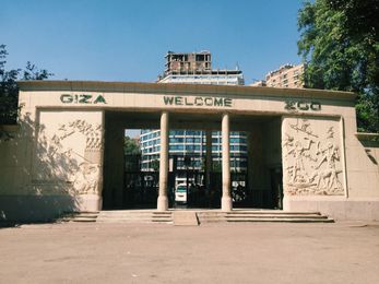 Horrors of Giza Zoo: When Money Becomes More Important than Animal Welfare