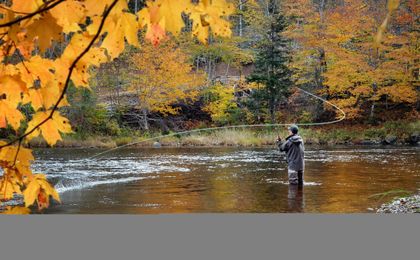 5 fly fishing tips for beginners