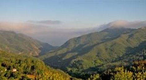 Farmers Markets and CalFresh Work Together