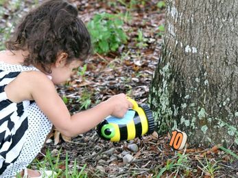 12 Ways to Master Your Hide & Seek Game