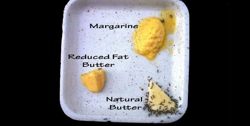 The FAT Facts: Butter vs Margarine