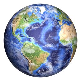 The Sofa Company is Committed to Being Green