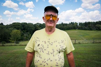 Building a Better Honeybee