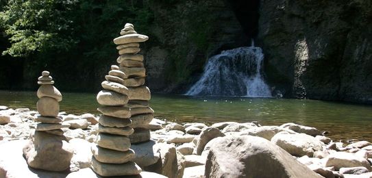 What We Can Learn from Japan’s Environmental Sustainability