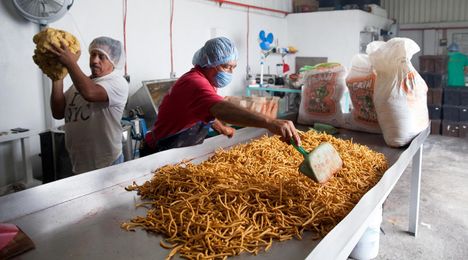 The Aztec superfood fighting Mexican obesity