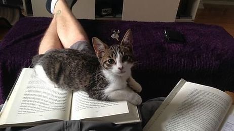 It`s a matter of time before he realises it is a decoy...