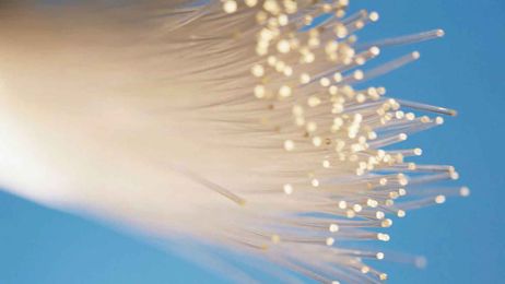 Fiber Optic Networks (FTTX)
