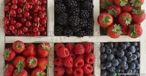 The tiny health-packed berry that’s a big deal