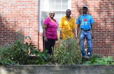 How Community Gardens Connect Seniors to Fresh Food and to Their Pasts