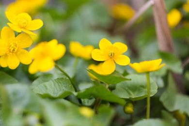 Where Should the Water Go?