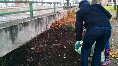 'Guerrilla' gardening 'bringing together communities'