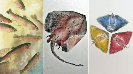 How Fishermen's Bragging Rights Gave Birth To Fine Art