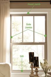 Learn the Lingo: Basic Window Features