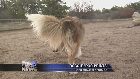 Unscooped doggie poo could cost you