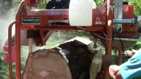 Slabbing Big Logs for Big Profits with Your Portable Band Sawmill