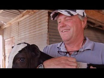 I'm a Mormon, Dairyman, and Grower of the Next Generation